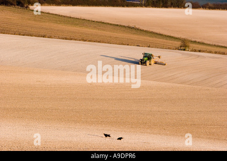 Trattore a rastrellare il terreno calcareo nel campo Foto Stock