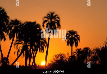 Tramonto a El Palmar National Park, provincia di Entre Rios, Argentina Foto Stock