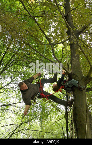 Tree Climbing insegnante e ragazzo Foto Stock