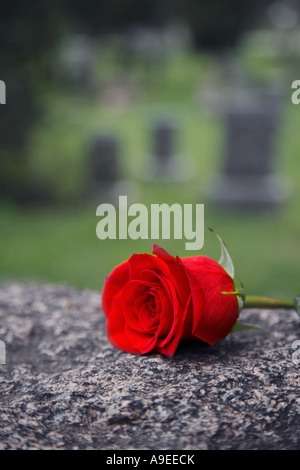 Una rosa rossa si trova sulla cima di una lapide in un cimitero Foto Stock