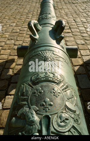 Parigi Francia canoni sul display a Les Invalides ex ospedale militare ospita ora il Musee de l Armee Foto Stock