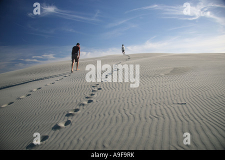 I turisti escursionismo fino un enorme a forma di mezzaluna duna di sabbia in un tour guidato di Farewell Spit, Golden Bay, Isola del Sud, Nuova Zelanda Foto Stock