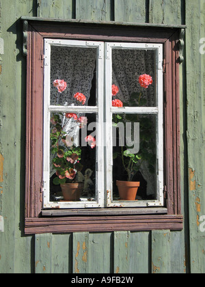 Vecchio e mal mantenuta finestra con fiori in norvegese folk museum, Oslo, Norvegia Foto Stock