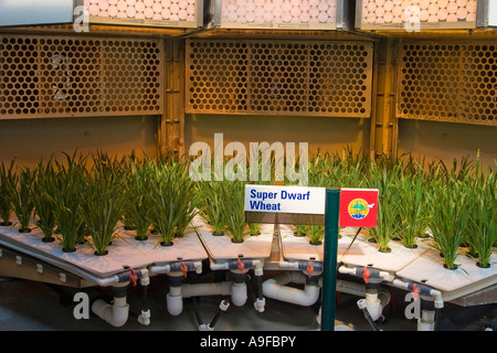 NASA colture sperimentali presso il Disney's Epcot Center Foto Stock