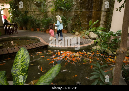 La carpa stagni all'interno di uno Utama Shopping Centre in Bandar Utama Selangor vicino a Kuala Lumpur Foto Stock