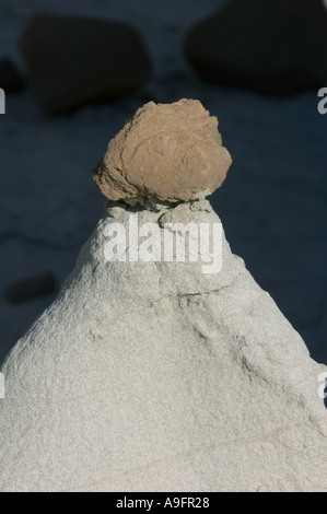 Stati Uniti d'America NEW MEXICO, Bisti Badlands, Bisti-DenaZin Wilderness, Caprock su Hoodoo Foto Stock