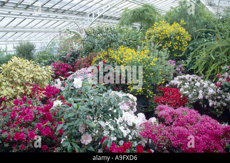 Serra in un giardino botanico, in Germania, in Baviera, Muenchen Foto Stock