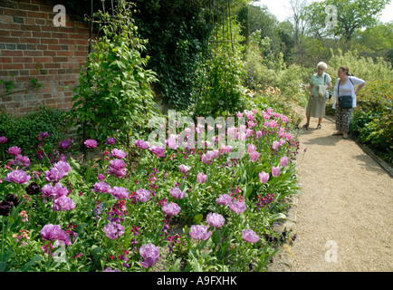 I tulipani in fiore a Pashley Manor Tulip Festival Foto Stock