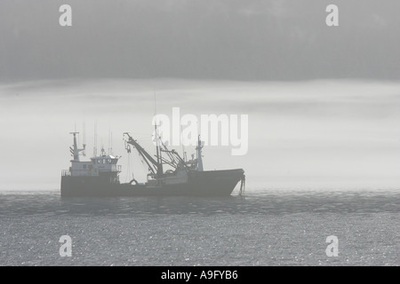 La nave da pesca in caso di nebbia, USA, Alaska Foto Stock