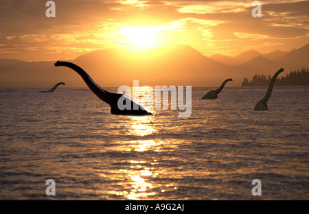 Brachiosaurus nuotare nel mare Foto Stock