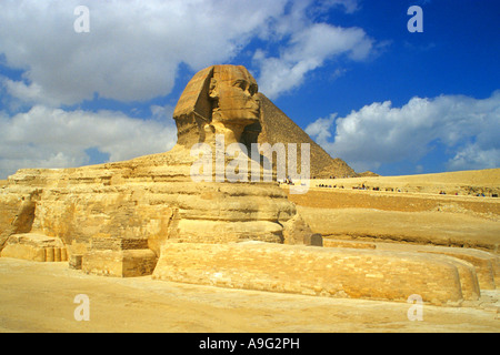 Grande Sfinge di Giza in Egitto, Kairo Foto Stock