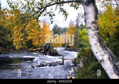 Cascata Myllykoski, Finlandia, Oulu, Kuusamo Foto Stock