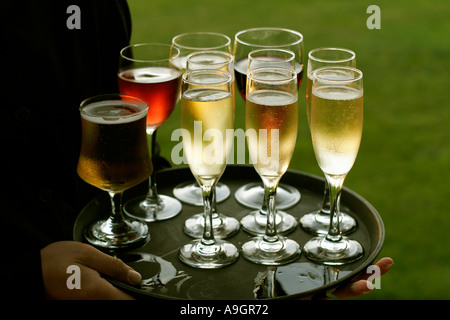 Un vassoio di bevande Foto Stock