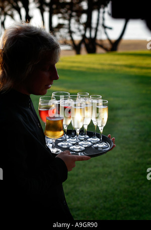 Un vassoio di bevande Foto Stock