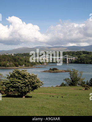 Menai Bridge Anglesey, Galles del Nord, Regno Unito , in Europa,attraversando la Menaii stretto Foto Stock