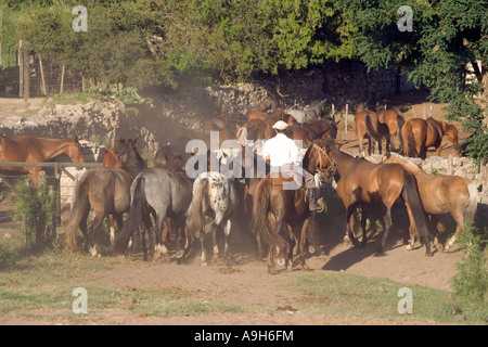 America del Sud America Latina Argentina Argentina spagnolo ispanica Repubblica Argentina Foto Stock