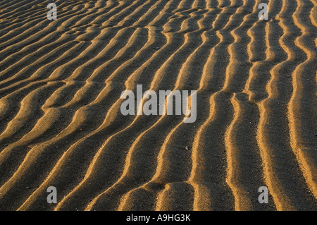 Modelli di onda in sabbia sulla riva del mare in Early Morning Light Foto Stock