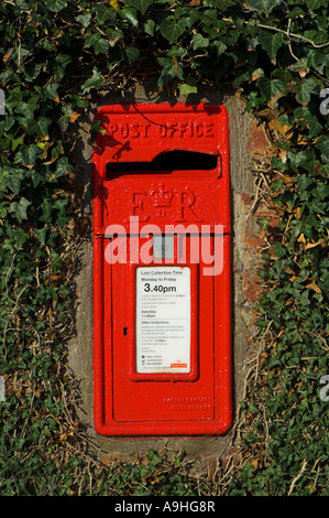 Rosso brillante Post Box circondato da edera sulla strada rurale Foto Stock