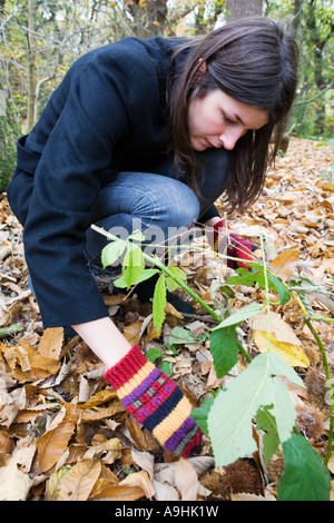 Giovane donna nella foresta Foto Stock