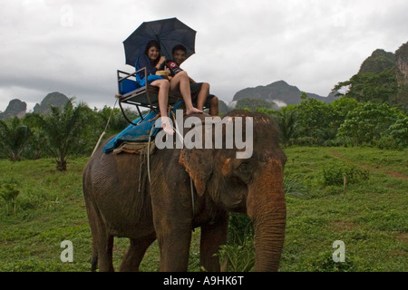 Turista giovane cavalcare un elefante Foto Stock