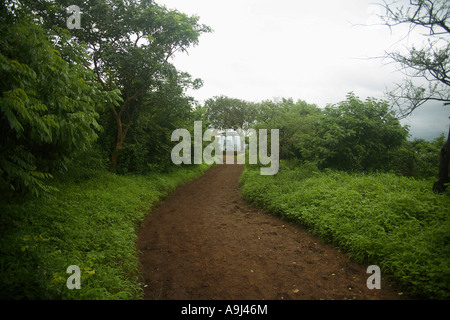 Un sentiero sulla collina di Pune, Maharashtra, India Foto Stock