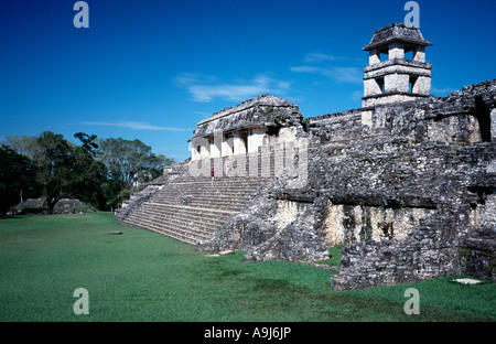 El Palacio presso le rovine Maya di Palenque in provincia messicana del Chiapas. Foto Stock