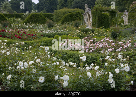 Houghton Hall Giardino di Rose Norfolk Foto Stock