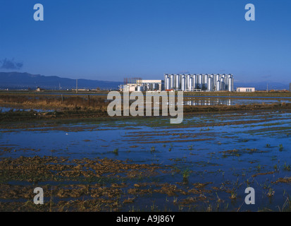 I campi di riso e la fabbrica in Delta de Ebro, a sud di Tarragona in Catalogna, Spagna. Adottati nel 2003 Foto Stock