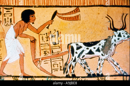 Luxor Egitto Deir El-medina Tomba di Sennedjem (TT1) Pittura di Sennediem (un antico artigiano egiziano) campo di aratura con buoi nell'aldilà Foto Stock