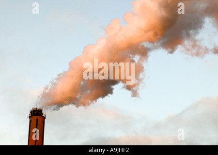 Fumo proveniente da un camino Foto Stock