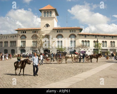 Cuba havana uomo porta bambino round su donkey in plaza san francisco Foto Stock