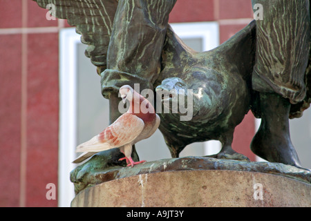 Il dialogo tra il piccione e bronzo scultura d'oca colomba seduto su una fontana Minster square Bonn Nord Reno Westfalia Germania Foto Stock