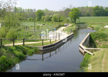 Wey e Arun Canal Maggio 2007 Foto Stock