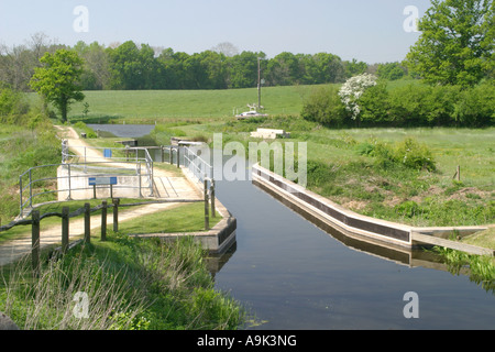 Wey e Arun Canal Maggio 2007 Foto Stock