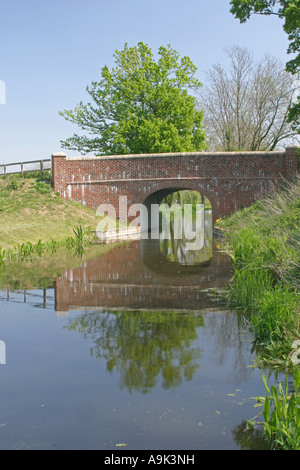 Wey e Arun Canal Maggio 2007 Foto Stock