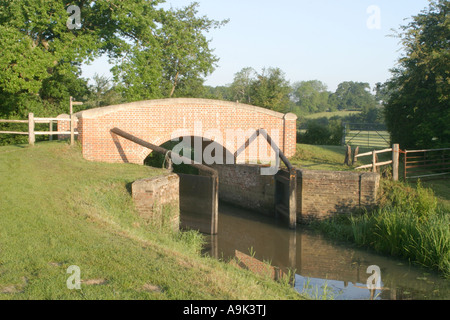 Wey e Arun Canal Maggio 2007 Foto Stock