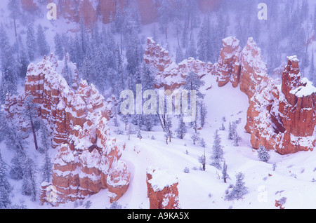 Le formazioni rocciose nella nebbia al di sotto del punto di Bryce dopo una tempesta di neve Bryce Canyon National Park nello Utah Foto Stock