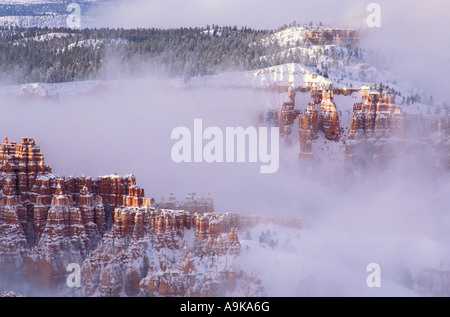 Le formazioni rocciose nella nebbia al di sotto del punto di Sunrise dopo una tempesta di neve Bryce Canyon National Park nello Utah Foto Stock