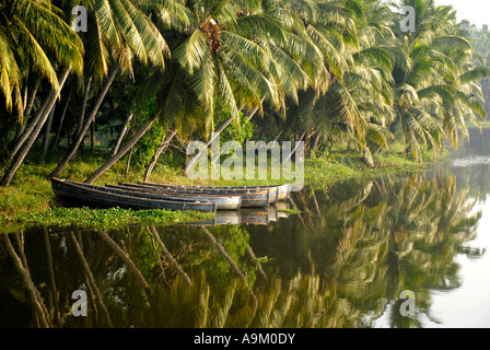 Paesaggio Backwate in vamente lago keraka Foto Stock