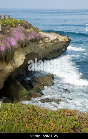 Onde e scogliere a La Jolla Cove, California Foto Stock