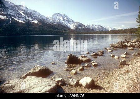 Grand Teton National Park Wyoming USA Foto Stock