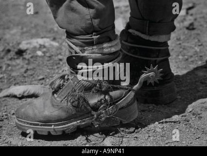 Close up di speroni legata a scarpe da trekking a piedi man Foto Stock