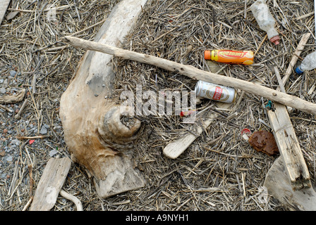 Driftwood e birra vecchia può Foto Stock