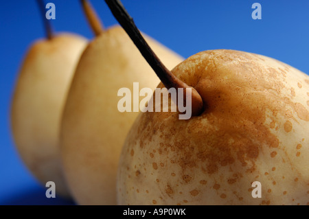 Pere cinesi nashi Pyrus pyriflora frutta alimentare Foto Stock