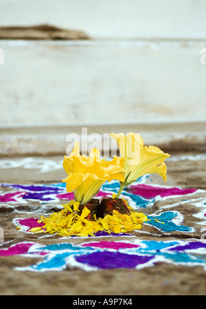 Indiano Rangoli design con fiori e sterco di vacca offerte su un indiano street durante il festival di sankranthi / Pongal. Andhra Pradesh, India Foto Stock