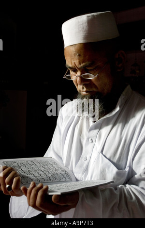 Uomo musulmano la lettura del Corano. India Foto Stock