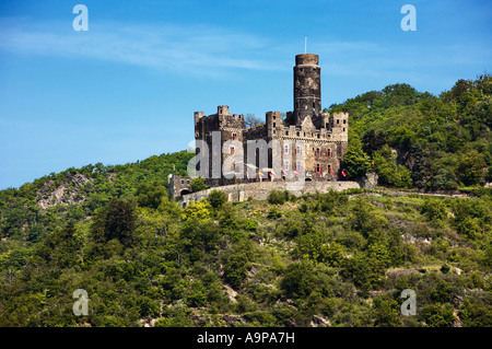 Castello Maus, Reno Castello nella valle del Reno al di sopra del villaggio di Wellmich, Renania, Germania Europa Foto Stock