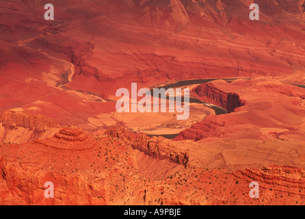 Il fiume Colorado che scorre attraverso il Grand Canyon nel Parco Nazionale del Grand Canyon nello Stato dell Arizona USA Foto Stock