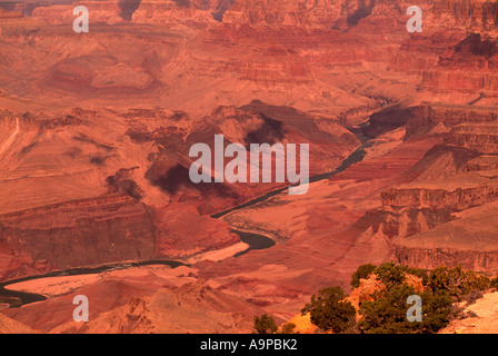 Il fiume Colorado che scorre attraverso il Grand Canyon nel Parco Nazionale del Grand Canyon nello Stato dell Arizona USA Foto Stock