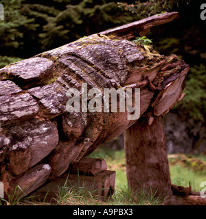 Il Totem Pole, Ninstints, Haida Gwaii, (Queen Charlotte isole), BC, British Columbia, Canada - Anthony Isola, Gwaii Haanas Park Foto Stock